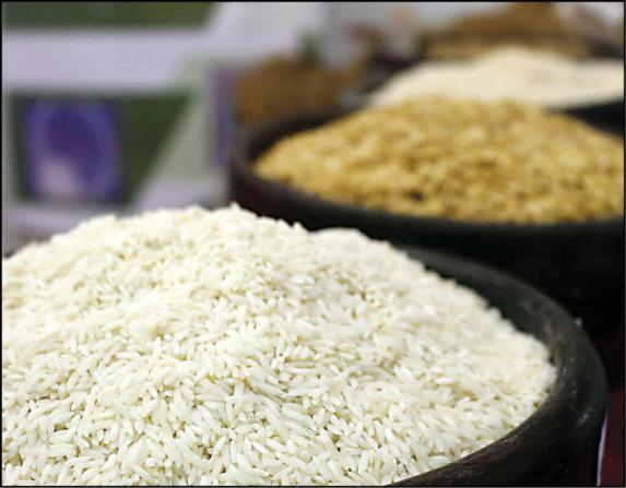 تشخیص برنج شمال