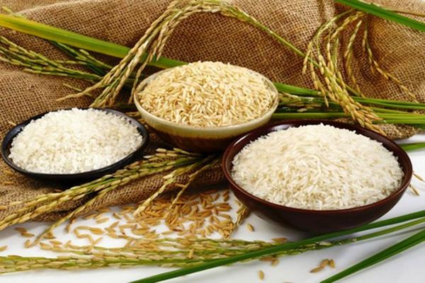 تشخیص برنج خوب شمال