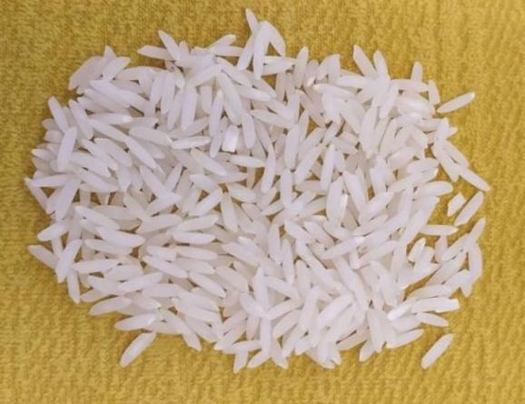 برنج فجر سوزنی شمال