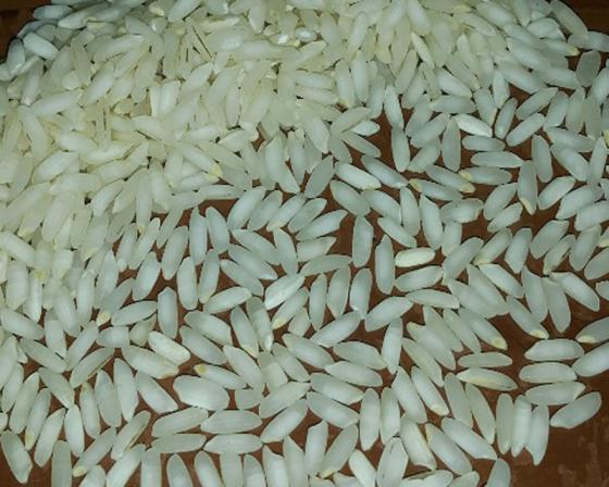 قیمت برنج عنبربو شمال