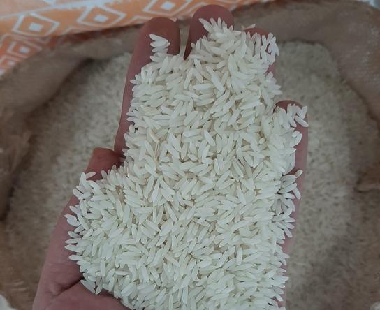 برنج عنبربو شمال