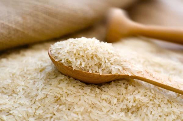 صادرات برنج شمال به ترکیه